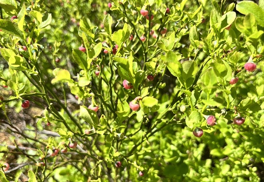 23-05-27 10-58-23 5723